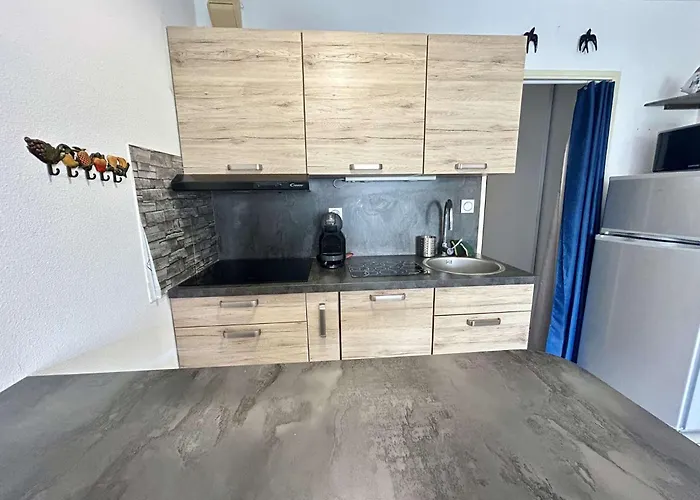 Appt 2 Couchages Cap D'agde Ct650-231