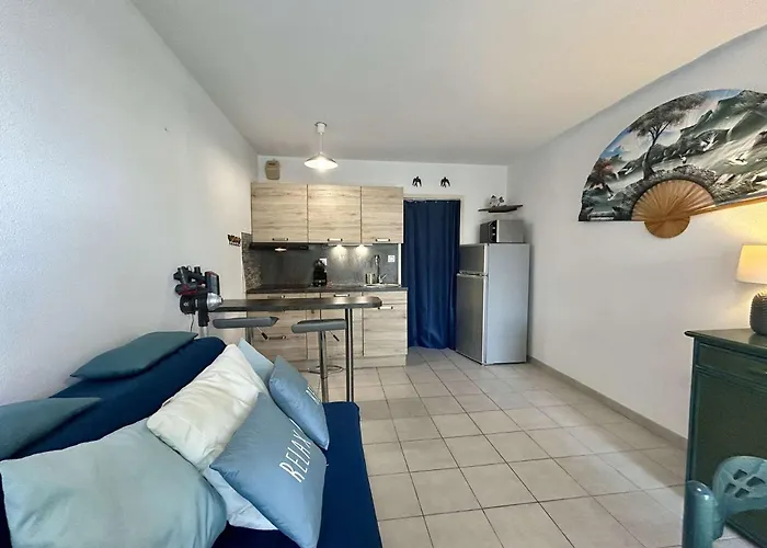 Appt 2 Couchages Cap D'agde Ct650-231 Agde